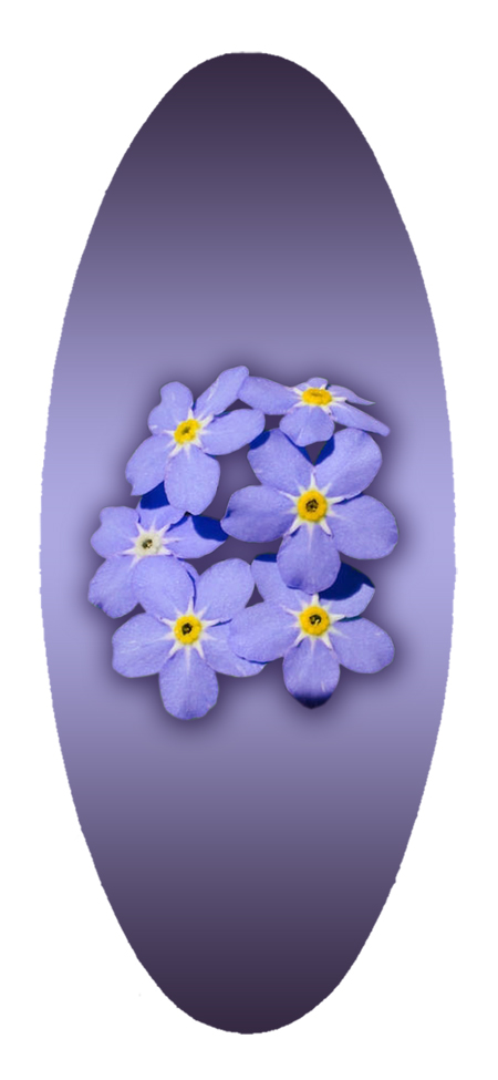 A18 Forget Me Nots PROOF